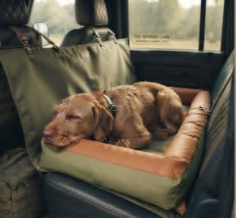 The Nordic Voyager in hammock configuration with a dog resting on the back seat