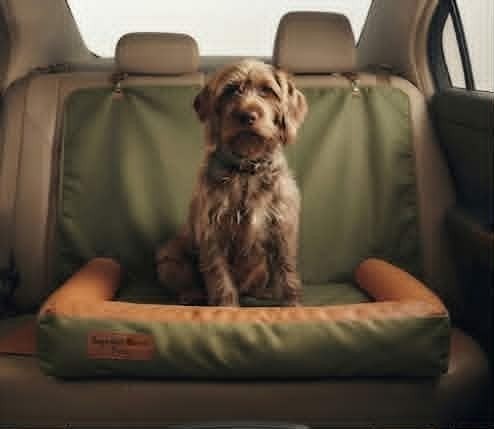 The Nordic Voyager in seat configuration with a dog sitting upright